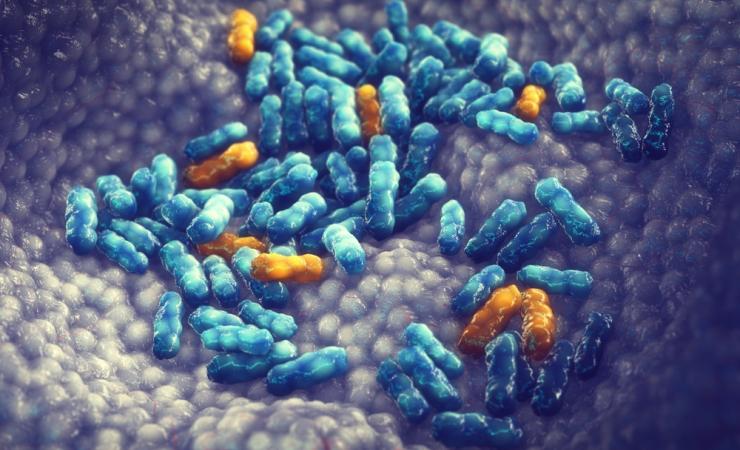 Antimicrobial resistance. Image credit: nobeastsofierce via Shutterstock.