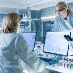 Scientists discussing research in a clinical laboratory. Image credit: Gorodenkoff 
